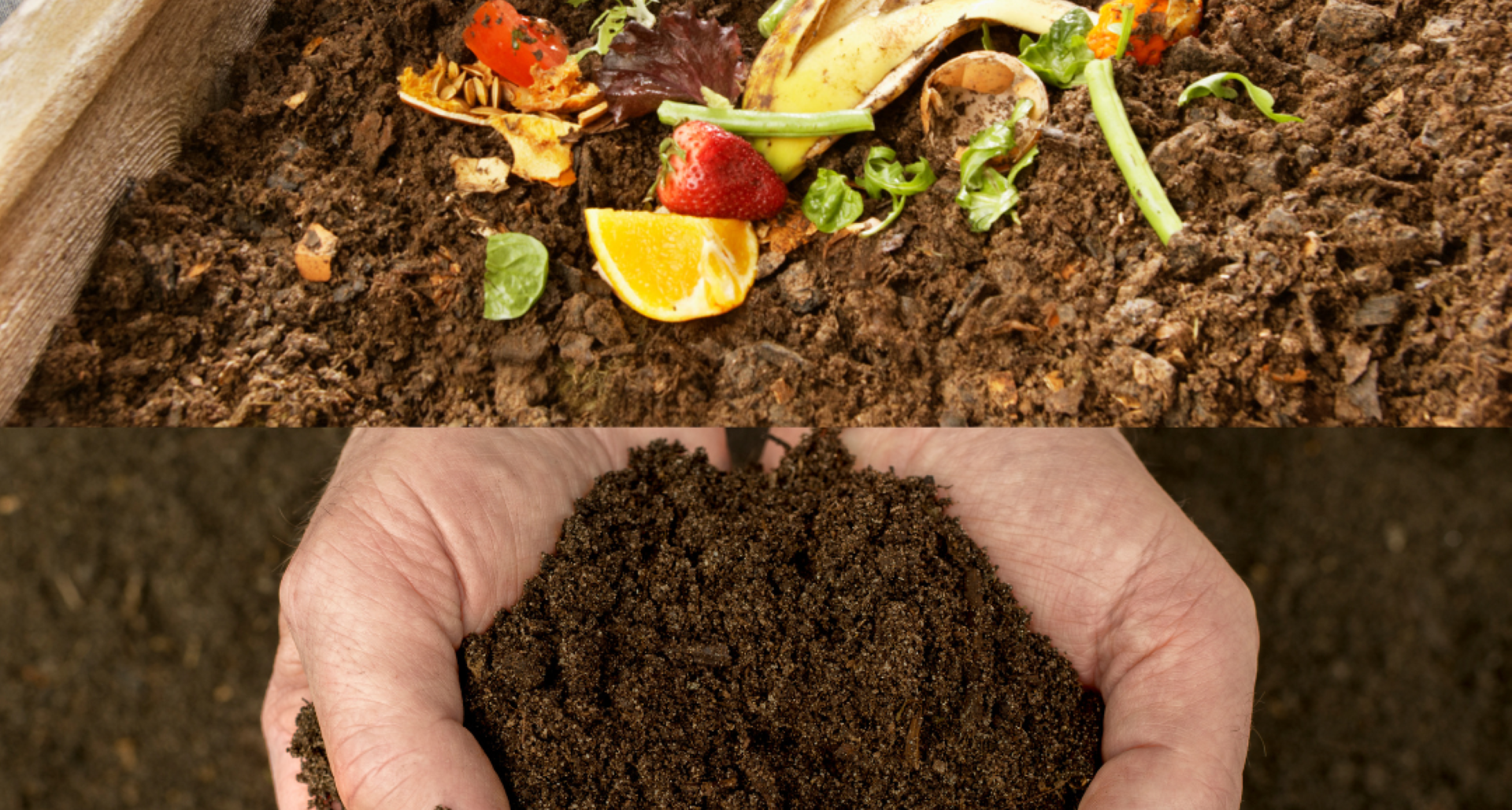 The Benefits of Composting and How to Get Started