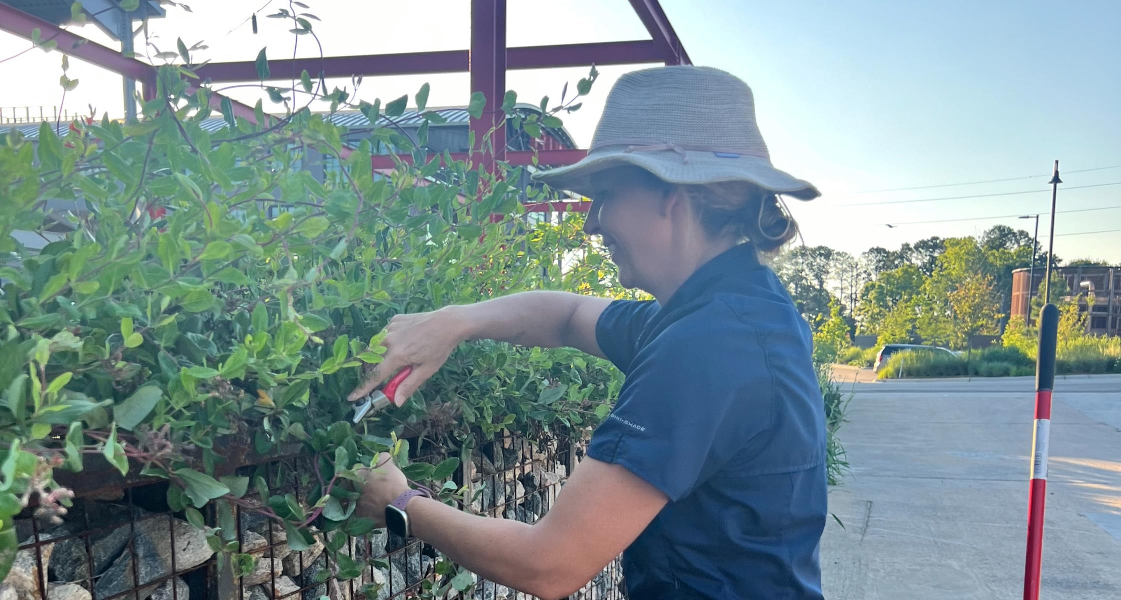 How our Horticulture team sets us apart